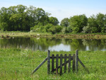 Mokkelengoor